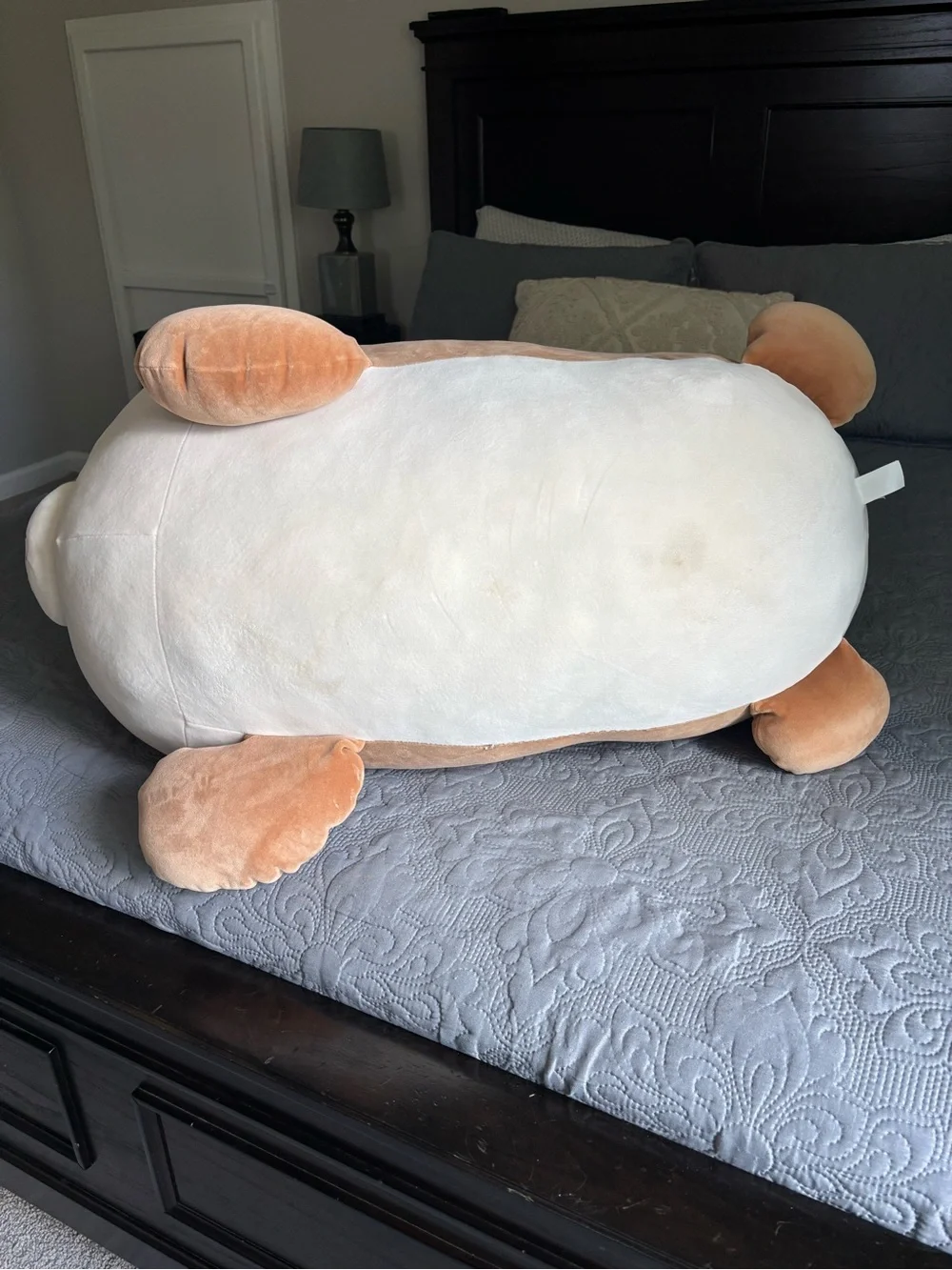 Squishmallows Sleep A Mallows Tan & White Dog or Fox Extra Large Stuffed Animal